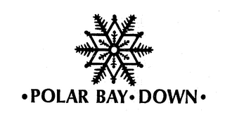 -POLAR BAY-DOWN- logo