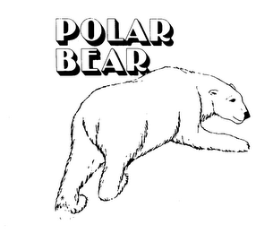 POLAR BEAR logo