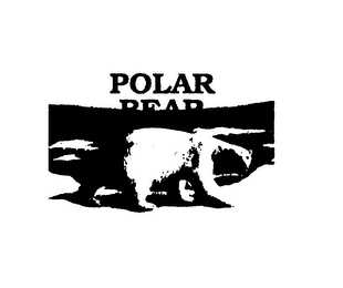 POLAR BEAR logo