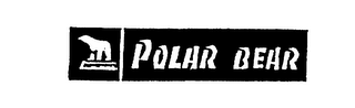 POLAR BEAR logo