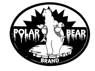 POLAR BEAR BRAND logo