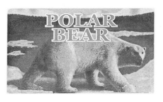 POLAR BEAR NATURAL SPRING WATER SODIUM-FREE NON-CARBONATED logo