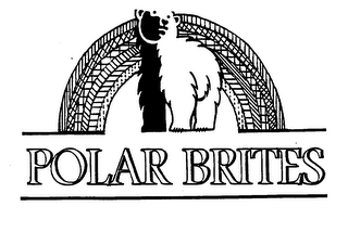 POLAR BRITES logo