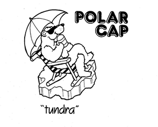 POLAR CAP "TUNDRA" logo