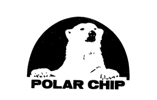 POLAR CHIP logo