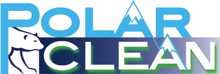 POLAR CLEAN logo