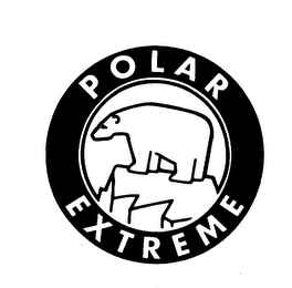 POLAR EXTREME logo