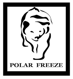 POLAR FREEZE logo