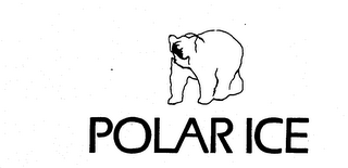 POLAR ICE logo