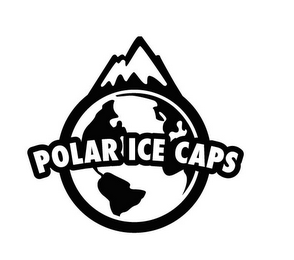 POLAR ICE CAPS logo