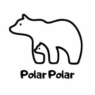 POLAR POLAR