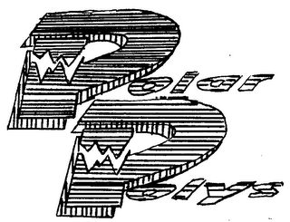 POLAR POLYS logo