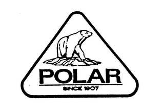 POLAR SINCE 1907 logo