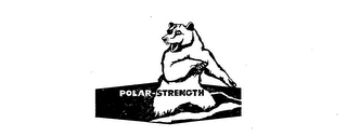 POLAR-STRENGTH logo