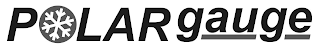 POLARGAUGE logo
