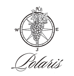 POLARIS logo
