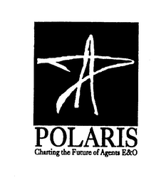POLARIS CHARTING THE FUTURE OF AGENTS E&O logo