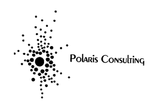 POLARIS CONSULTING logo
