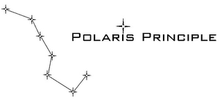 POLARIS PRINCIPLE logo