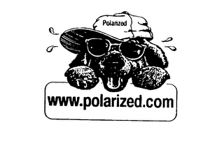 POLARIZED WWW.POLARIZED.COM logo