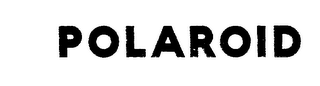 POLAROID logo