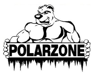 POLARZONE logo