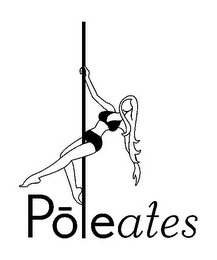 POLEATES logo