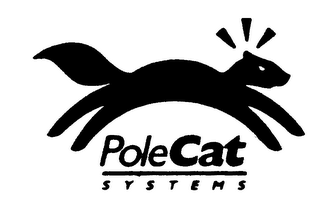 POLECAT SYSTEMS logo