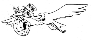 POLENGHI logo