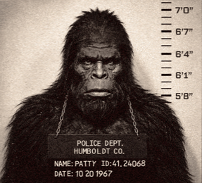POLICE DEPT. HUMBOLDT CO. NAME: PATTY ID:41.24068 DATE: 10 20 1967 7'0" 6'7" 6'4" 6'1" 5'8" logo