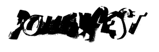 POLLENFEST logo