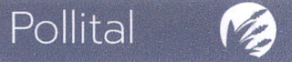 POLLITAL logo