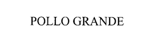 POLLO GRANDE logo
