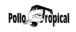 POLLO TROPICAL logo
