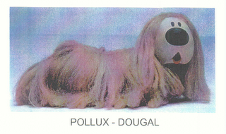 POLLUX - DOUGAL logo