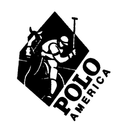 POLO AMERICA logo