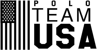 POLO TEAM USA logo