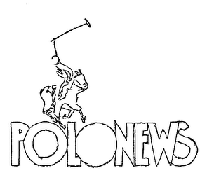 POLONEWS logo