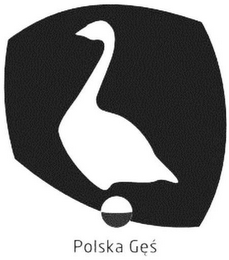 POLSKA GES logo