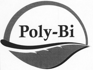 POLY-BI logo