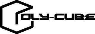 POLY-CUBE logo