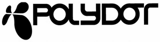 POLYDOT logo