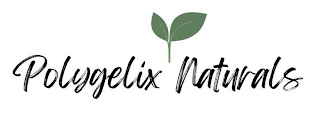 POLYGELIX NATURALS logo