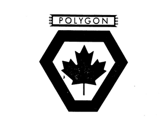 POLYGON logo