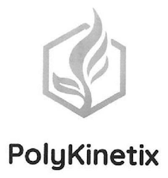 POLYKINETIX logo