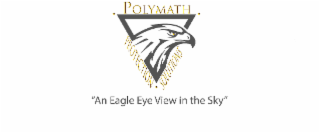 POLYMATH PROTECTION SOLUTIONS "AN EAGLE EYE VIEW IN THE SKY" logo