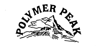 POLYMER PEAK logo