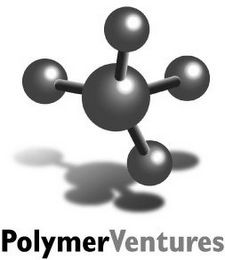 POLYMERVENTURES logo