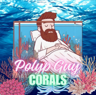 POLYP GUY CORALS logo
