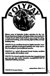 POLYPAY logo